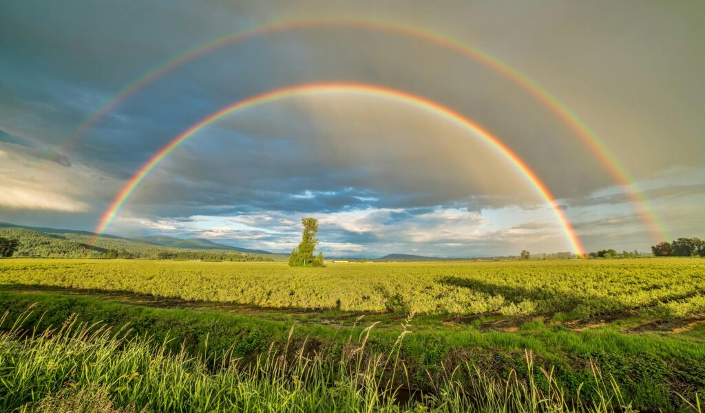 Stunning double rainbow arches over vibrant farmland in Pitt Meadows, BC, Canada.